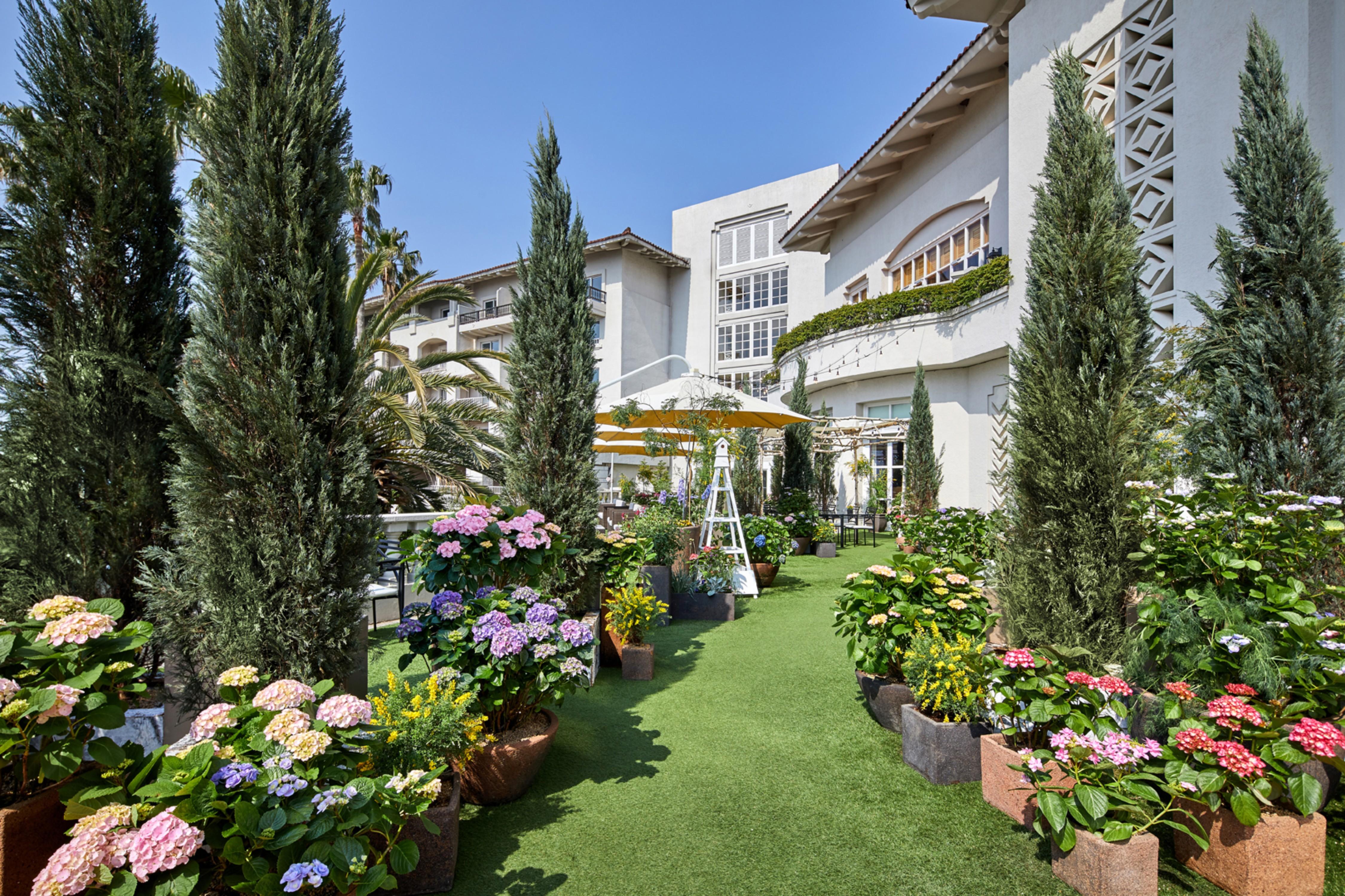 The Shilla Jeju Hotel Seogwipo Exterior foto
